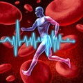 Cardiovascular circulation Royalty Free Stock Photo