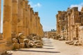 The Cardo Maximus street in Jerash ruins Jordan Royalty Free Stock Photo