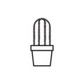 Cardon cactus. Vector illustration decorative design