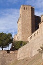 Cardona Castle Royalty Free Stock Photo