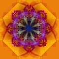 MANDALA GEOMETRIC GOLD FLOWER, PURPPLE CENTER IN ABSTRACT SHAPES.DECORATIVES ELEMENTS, TEXTURE Royalty Free Stock Photo