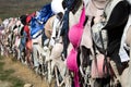 Cardrona bra fence in Central Otago in New Zealand