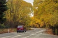 Autumn trees surrounding a country road. New Zealand Royalty Free Stock Photo
