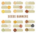 Cards or banners, header with seeds kernels food