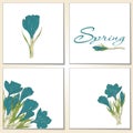 Cards with crocus spring flowers