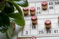 Cards and kegs for Russian lotto bingo game on white background.