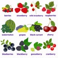 Cards for learning English with berries