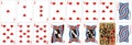 Playing cards for rummy and Cassino