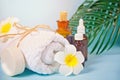 Care, beauty and spa concept. Organic soap, small bottles with essential oils, white towel, palm leaf, plumeria frangipani flower