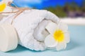 Care, beauty and spa concept. Organic soap, white towel, plumeria frangipani flower. Ocean coastline on the background Royalty Free Stock Photo