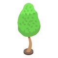 Care garden tree icon isometric vector. Trim plant