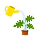 Care for house plant. Yellow watering can with water. Pot with flower and green leaves Royalty Free Stock Photo