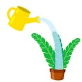 Care for house plant. Yellow watering can with water. Pot with flower and green leaves Royalty Free Stock Photo