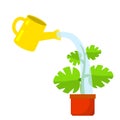 Care for house plant. Yellow watering can with water Royalty Free Stock Photo