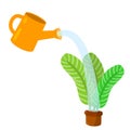 Care for house plant. Yellow watering can with water. Royalty Free Stock Photo