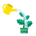 Care for house plant. Yellow watering can with water Royalty Free Stock Photo