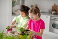 Two girlfriends standing near a table with flowerpots. Royalty Free Stock Photo