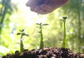 Care Of New Life - Watering Young Plant - Vintage Effect Royalty Free Stock Photo