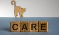 Care word on wooden cubes, wooden figures of cat Royalty Free Stock Photo