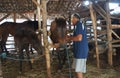 Cared for horses