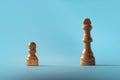 Career ambitions, concept, novice vs specialist, pawn vs queen. Chess pieces Royalty Free Stock Photo