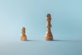 Career ambitions, concept, novice vs specialist, pawn vs queen. Chess pieces Royalty Free Stock Photo
