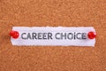 Career Choice Royalty Free Stock Photo