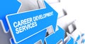 Career Development Services - Message on Blue Cursor. 3D. Royalty Free Stock Photo
