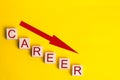 Career down. a demotion, a career crisis. lowering the standard of living. cutback in production. loss of ability to work. transfe