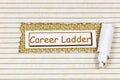 Career ladder climb opportunity growth success achievement staircase leadership banner Royalty Free Stock Photo