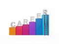 Career Ladder Isolated