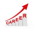 Career Ladder Isolated