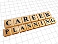 Career planning in golden cubes Royalty Free Stock Photo
