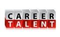 Career talent cubes