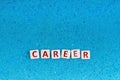 Career word on stone Royalty Free Stock Photo