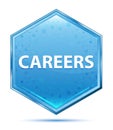Careers crystal blue hexagon button
