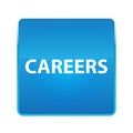 Careers shiny blue square button