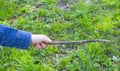 Carefree childhood. wooden stick in children`s hand at sunny spring day.