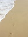 Carefree footprints