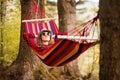 Carefree happy woman lying on hammock enjoying harmony with nature. Freedom. Enjoyment. Relaxing in forest.