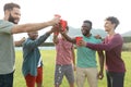 Carefree multiracial male friends toasting beer glasses while standing on grassy land in yard