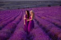Carefree two beautiful women enjoying sunset in lavender field. Harmony. Attractive blond and brunette with long curly hair style