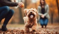 A carefree woman embracing her playful terrier in autumn beauty generated by AI Royalty Free Stock Photo