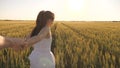 Carefree woman and man run across a wheat field holding hands in the summer sun. A family of farmers. A girl and a guy Royalty Free Stock Photo