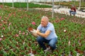 Old man grower sitting down and looking to the pot of geranium flower in greenhouse