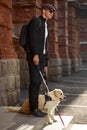 Careful guide dog helping blind man in city Royalty Free Stock Photo