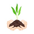 Careful Hands Holding Handful of Soil with Young Shoot or Sprout Growing in It Vector Illustration