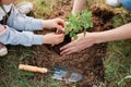 Careful hands of a woman and a child planting a young raspberry plant in the ground, female holding raspberry seedling for