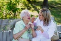 Caregiver helping senior woman to apply lipstick when sitting on bench in park in summer. Royalty Free Stock Photo