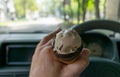 Driver keeps ice cream behind the wheel of the car
